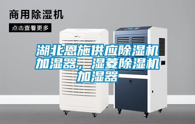 湖北恩施供應除濕機加濕器，濕菱除濕機加濕器