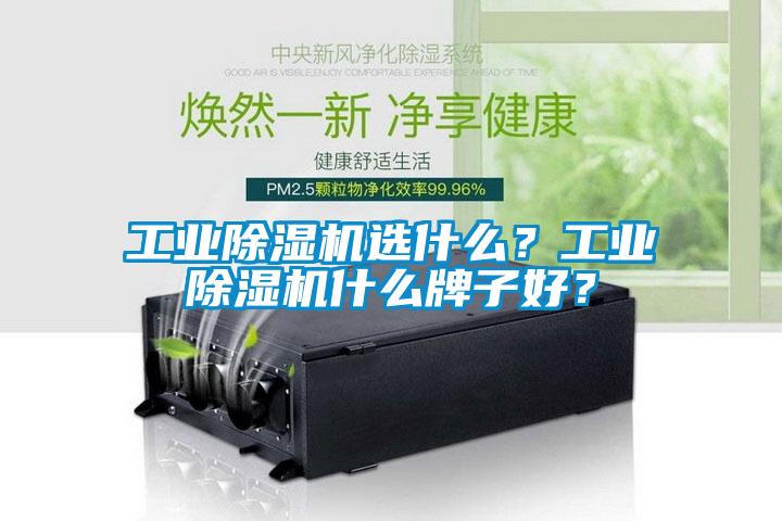 工業(yè)除濕機選什么？工業(yè)除濕機什么牌子好？