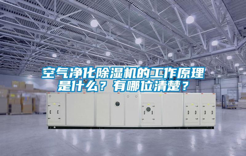 空氣凈化除濕機(jī)的工作原理是什么？有哪位清楚？