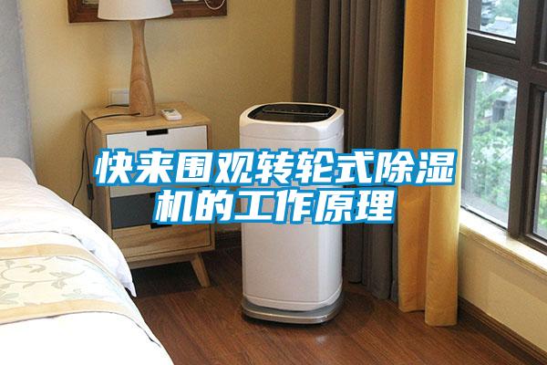 快來圍觀轉(zhuǎn)輪式除濕機的工作原理