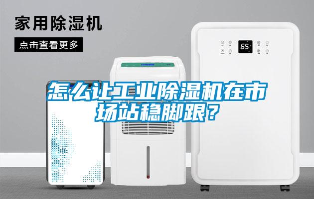 怎么讓工業(yè)除濕機(jī)在市場(chǎng)站穩(wěn)腳跟？