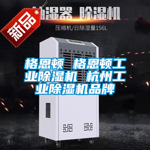 格恩頓 格恩頓工業(yè)除濕機(jī) 杭州工業(yè)除濕機(jī)品牌