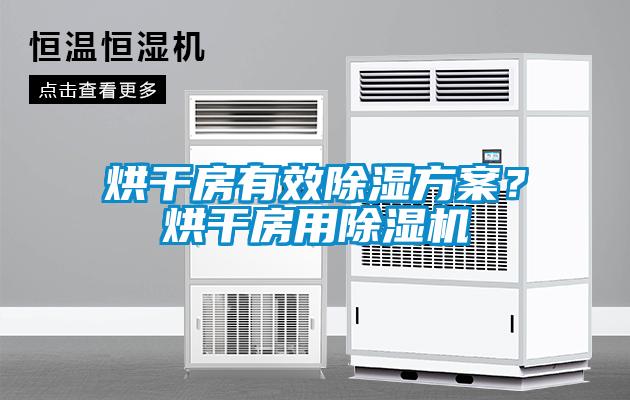 烘干房有效除濕方案？烘干房用除濕機(jī)