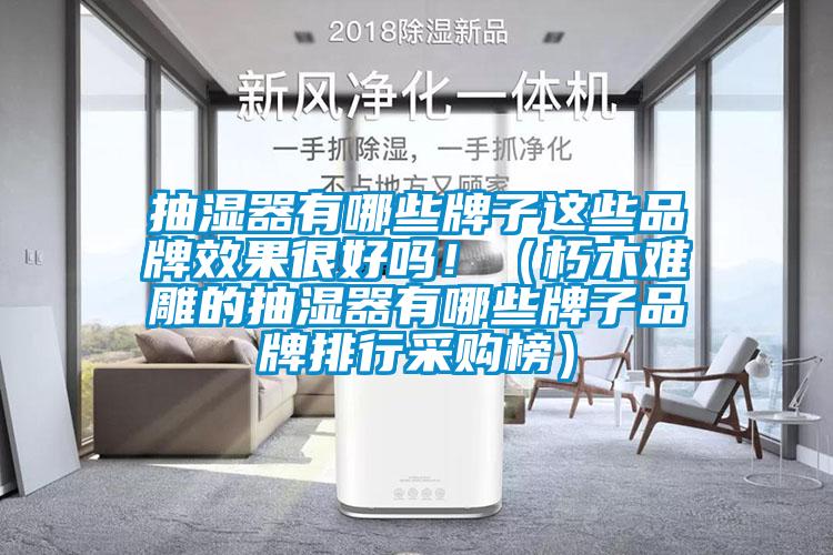 抽濕器有哪些牌子這些品牌效果很好嗎?。ㄐ嗄倦y雕的抽濕器有哪些牌子品牌排行采購(gòu)榜）