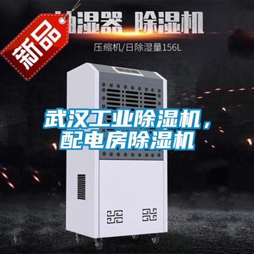 武漢工業(yè)除濕機(jī)，配電房除濕機(jī)