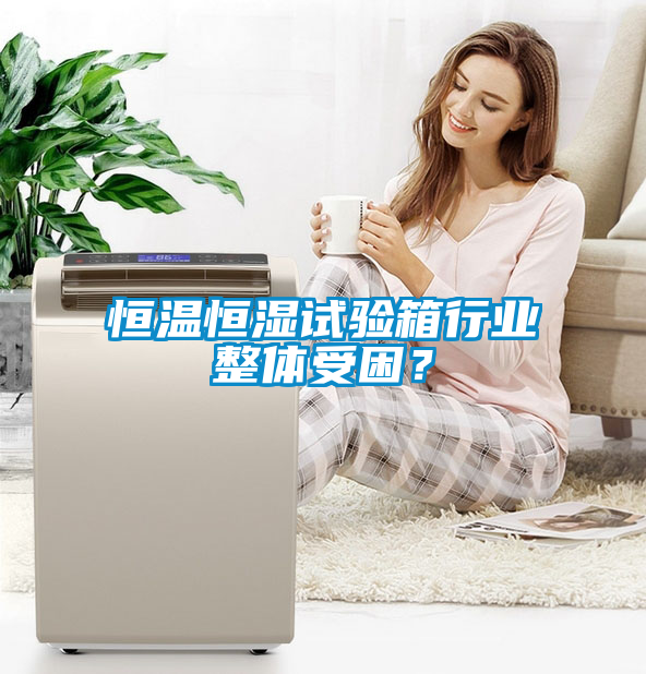 恒溫恒濕試驗(yàn)箱行業(yè)整體受困？