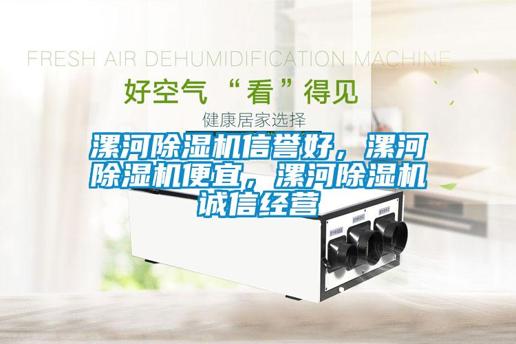 漯河除濕機(jī)信譽(yù)好，漯河除濕機(jī)便宜，漯河除濕機(jī)誠信經(jīng)營