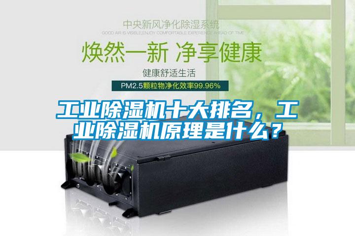 工業(yè)除濕機(jī)十大排名，工業(yè)除濕機(jī)原理是什么？