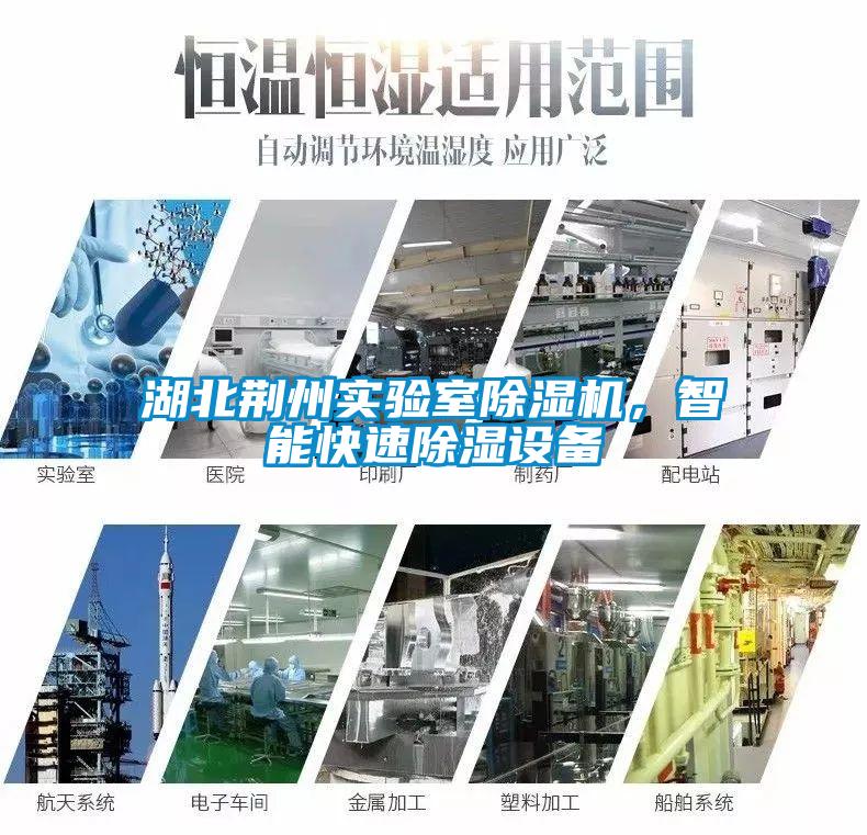 湖北荊州實驗室除濕機，智能快速除濕設備