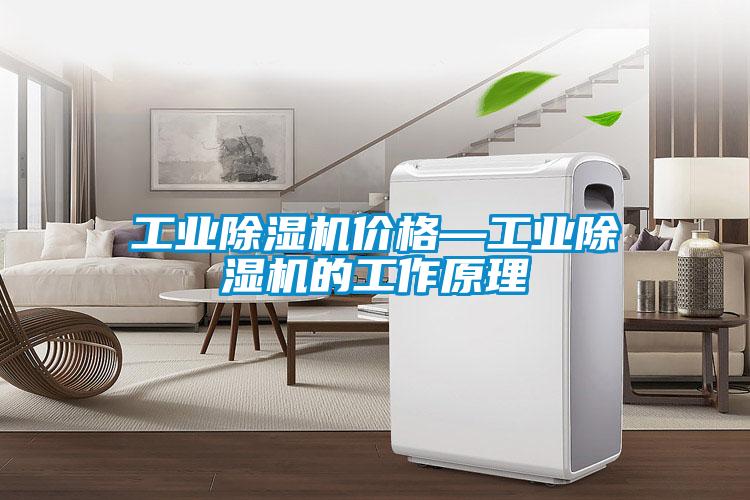 工業(yè)除濕機(jī)價格—工業(yè)除濕機(jī)的工作原理