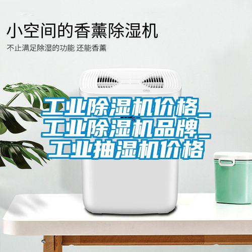 工業(yè)除濕機(jī)價(jià)格_工業(yè)除濕機(jī)品牌_工業(yè)抽濕機(jī)價(jià)格