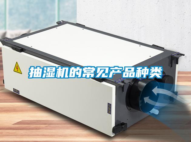 抽濕機(jī)的常見(jiàn)產(chǎn)品種類(lèi)