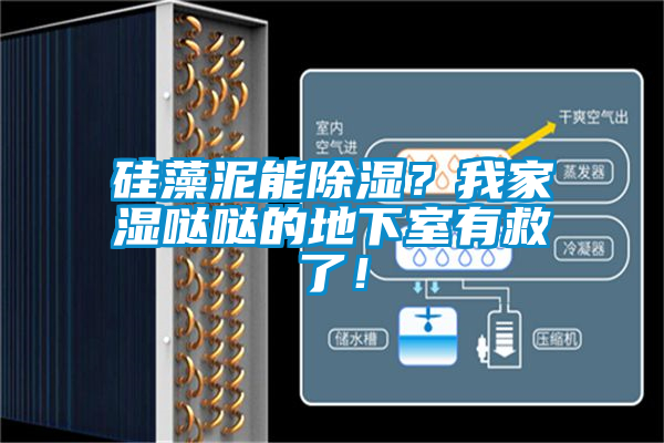 硅藻泥能除濕？我家濕噠噠的地下室有救了！