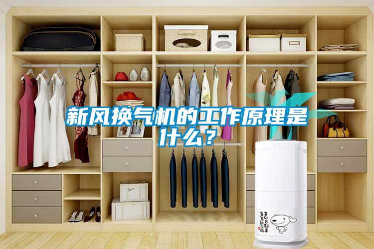 新風(fēng)換氣機的工作原理是什么？