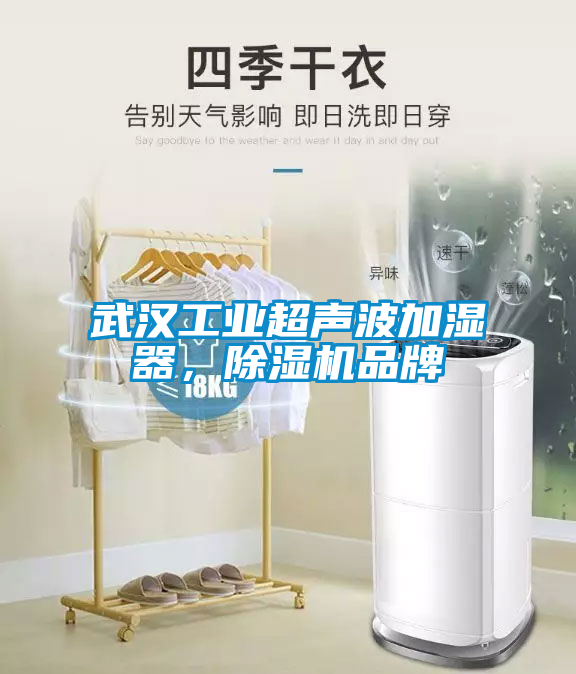 武漢工業(yè)超聲波加濕器，除濕機(jī)品牌