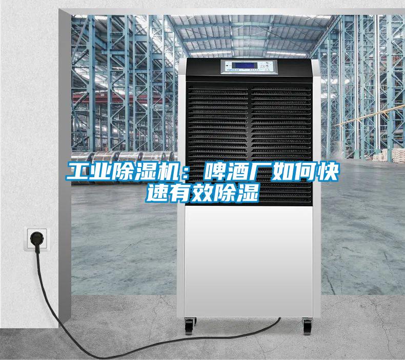工業(yè)除濕機：啤酒廠如何快速有效除濕