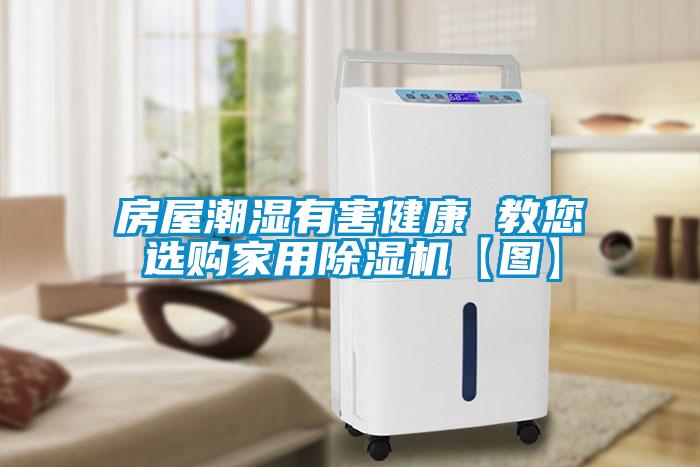 房屋潮濕有害健康 教您選購家用除濕機(jī)【圖】