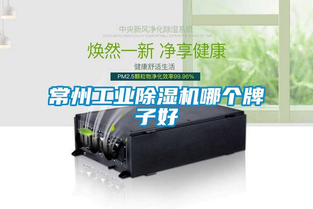 常州工業(yè)除濕機(jī)哪個牌子好