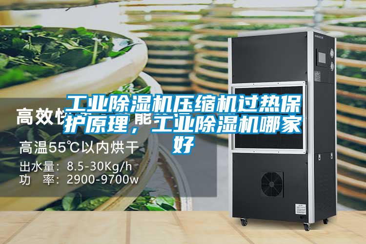 工業(yè)除濕機(jī)壓縮機(jī)過(guò)熱保護(hù)原理，工業(yè)除濕機(jī)哪家好