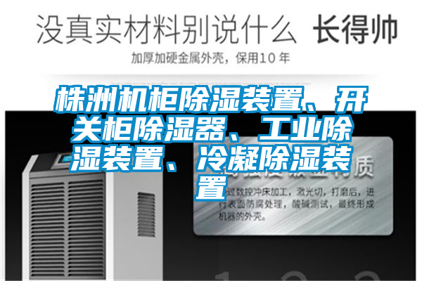 株洲機柜除濕裝置、開關(guān)柜除濕器、工業(yè)除濕裝置、冷凝除濕裝置