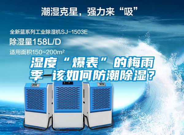 濕度“爆表”的梅雨季 該如何防潮除濕？