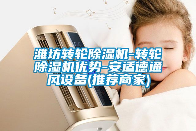 濰坊轉(zhuǎn)輪除濕機-轉(zhuǎn)輪除濕機優(yōu)勢-安適德通風(fēng)設(shè)備(推薦商家)