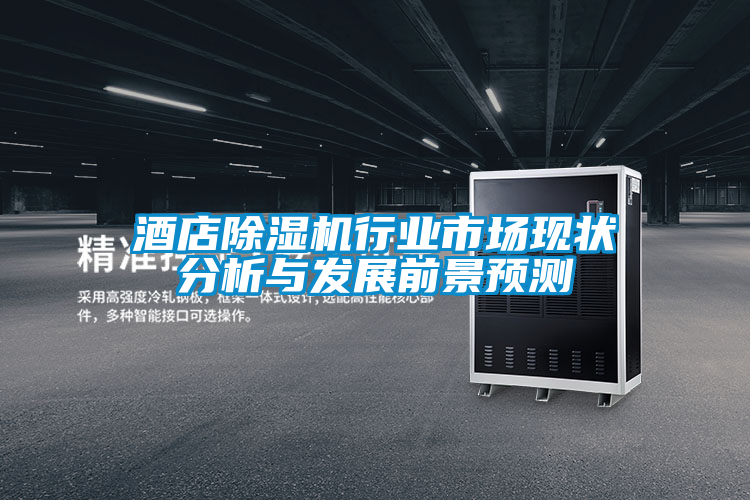 酒店除濕機行業(yè)市場現(xiàn)狀分析與發(fā)展前景預測