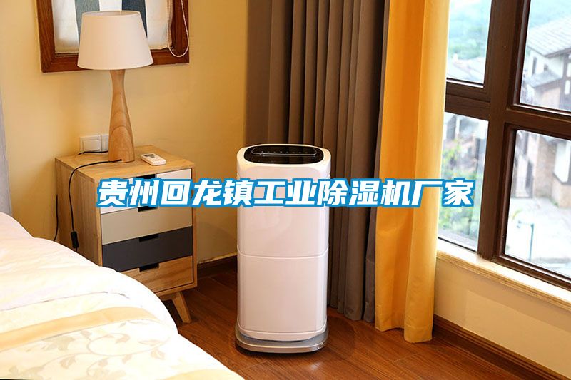 貴州回龍鎮(zhèn)工業(yè)除濕機(jī)廠(chǎng)家