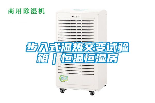 步入式濕熱交變試驗(yàn)箱｜恒溫恒濕房