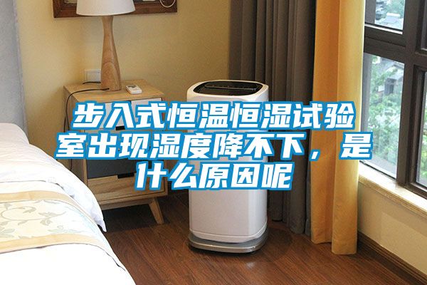 步入式恒溫恒濕試驗室出現(xiàn)濕度降不下，是什么原因呢