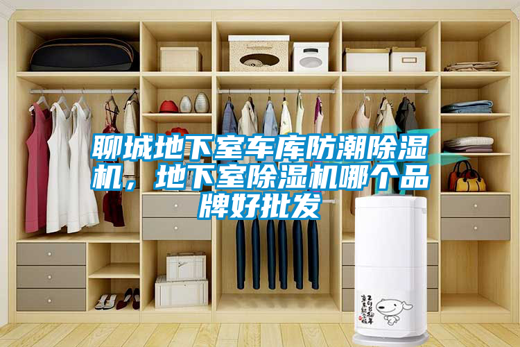 聊城地下室車(chē)庫(kù)防潮除濕機(jī)，地下室除濕機(jī)哪個(gè)品牌好批發(fā)