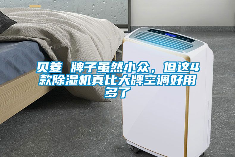 貝菱 牌子雖然小眾，但這4款除濕機真比大牌空調(diào)好用多了