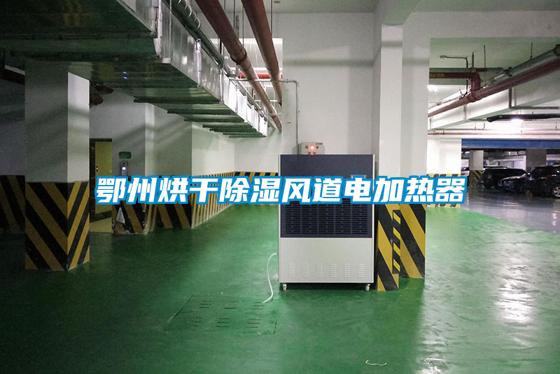鄂州烘干除濕風(fēng)道電加熱器