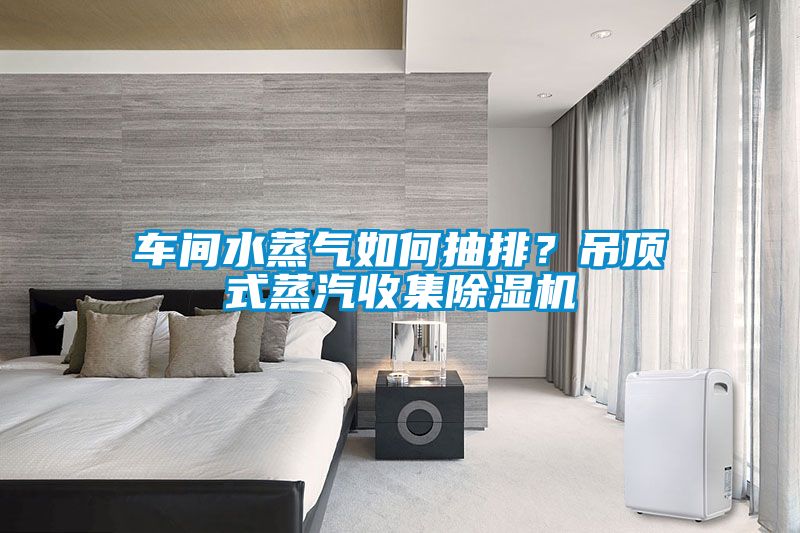 車間水蒸氣如何抽排？吊頂式蒸汽收集除濕機(jī)