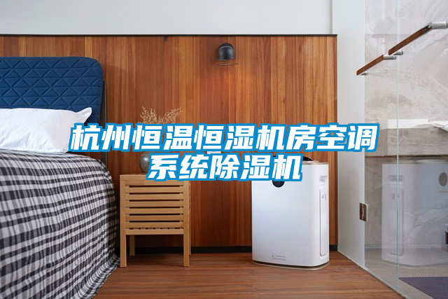 杭州恒溫恒濕機房空調系統(tǒng)除濕機
