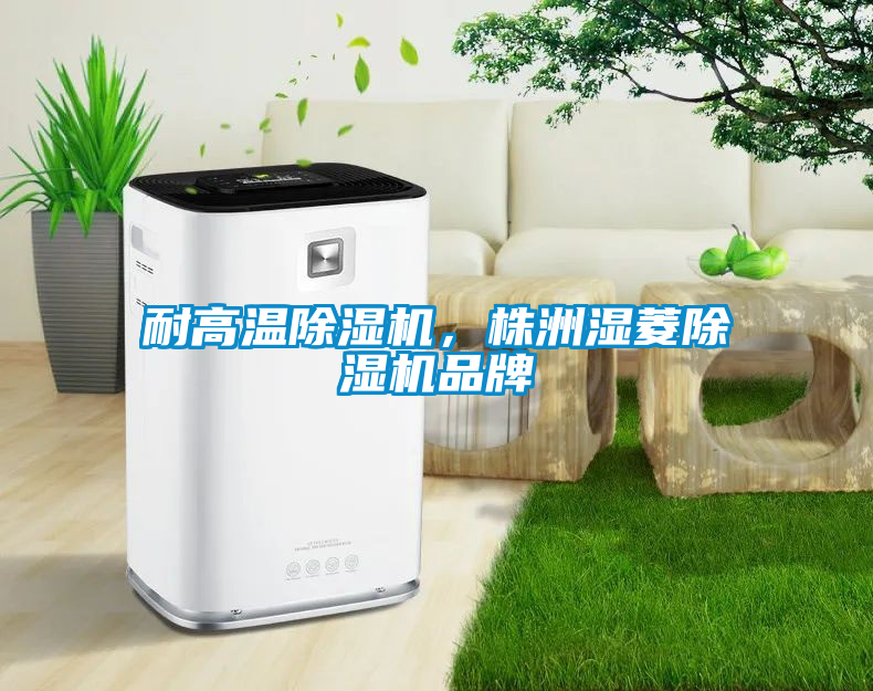 耐高溫除濕機(jī)，株洲濕菱除濕機(jī)品牌