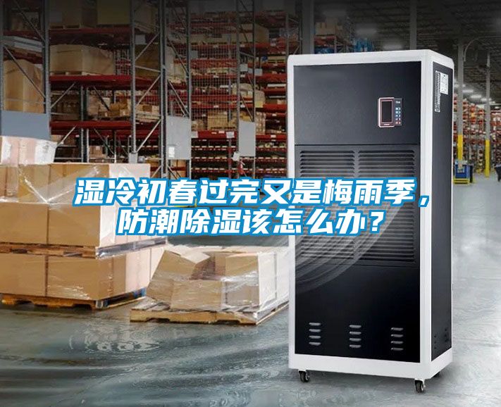 濕冷初春過完又是梅雨季，防潮除濕該怎么辦？