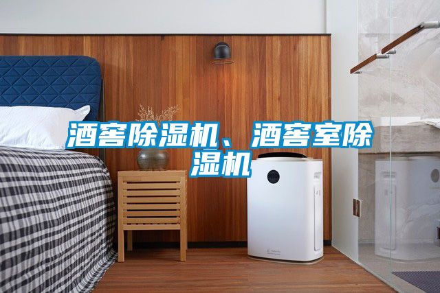 酒窖除濕機(jī)、酒窖室除濕機(jī)