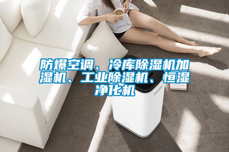 防爆空調(diào)、冷庫除濕機加濕機、工業(yè)除濕機、恒濕凈化機