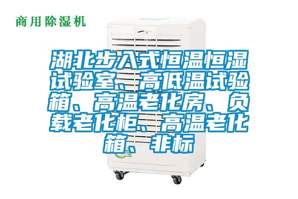 湖北步入式恒溫恒濕試驗(yàn)室、高低溫試驗(yàn)箱、高溫老化房、負(fù)載老化柜、高溫老化箱、非標(biāo)