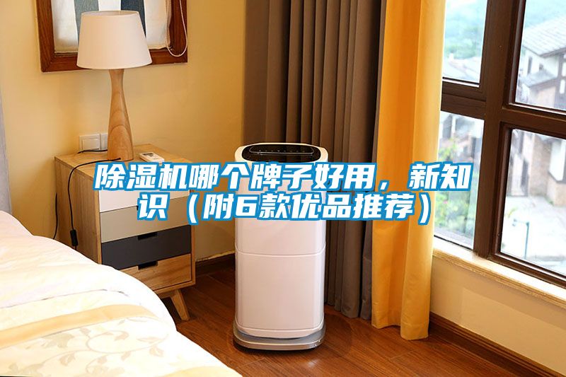 除濕機哪個牌子好用，新知識（附6款優(yōu)品推薦）