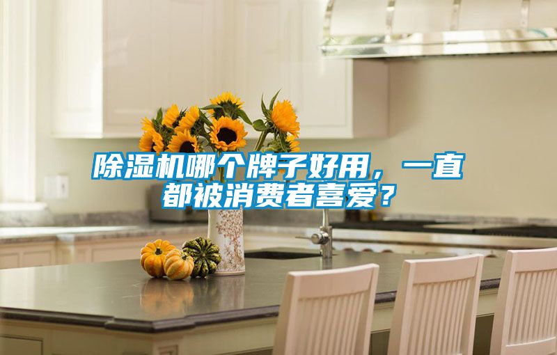 除濕機(jī)哪個牌子好用，一直都被消費(fèi)者喜愛？
