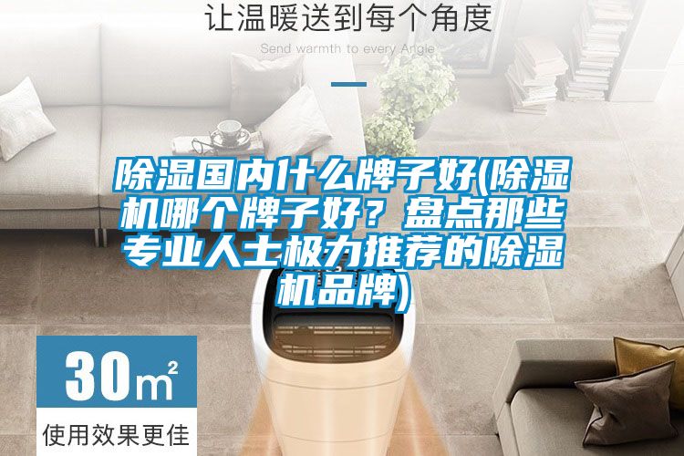 除濕國(guó)內(nèi)什么牌子好(除濕機(jī)哪個(gè)牌子好？盤點(diǎn)那些專業(yè)人士極力推薦的除濕機(jī)品牌)