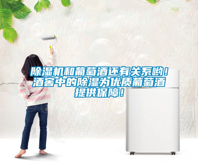 除濕機(jī)和葡萄酒還有關(guān)系喲！酒窖中的除濕為優(yōu)質(zhì)葡萄酒提供保障！