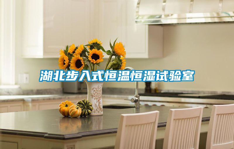 湖北步入式恒溫恒濕試驗(yàn)室
