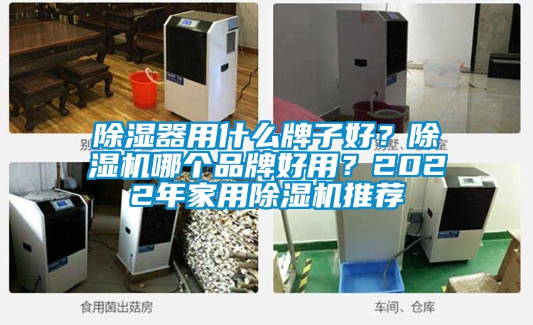 除濕器用什么牌子好？除濕機(jī)哪個(gè)品牌好用？2022年家用除濕機(jī)推薦