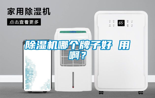 除濕機(jī)哪個牌子好 用啊？