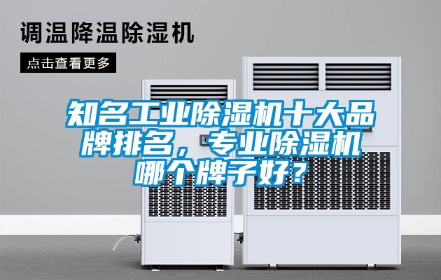 知名工業(yè)除濕機十大品牌排名，專業(yè)除濕機哪個牌子好？