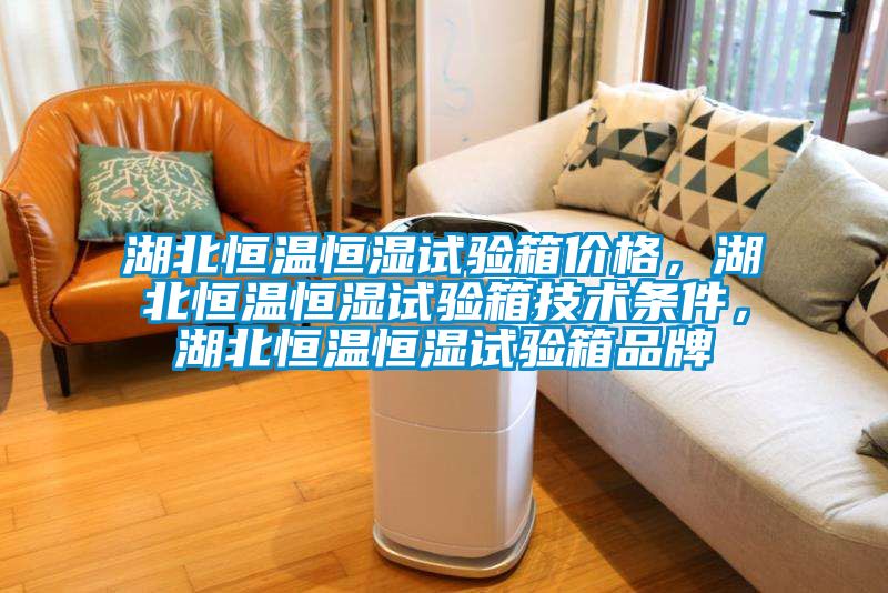 湖北恒溫恒濕試驗箱價格，湖北恒溫恒濕試驗箱技術(shù)條件，湖北恒溫恒濕試驗箱品牌