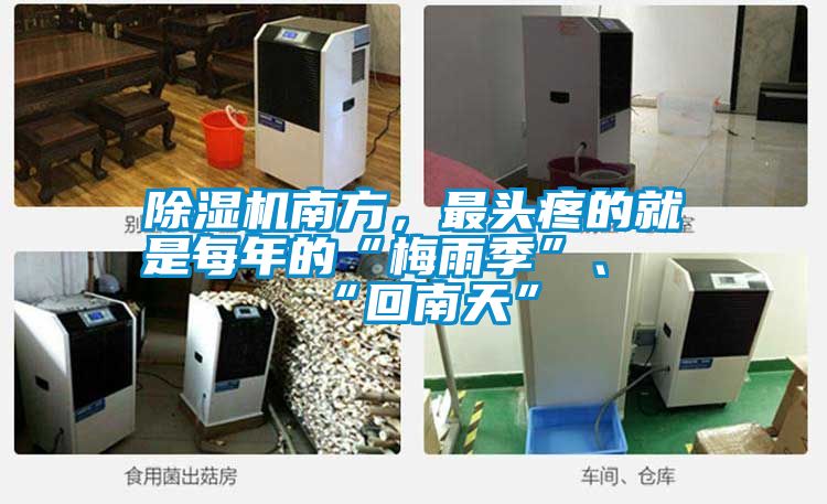 除濕機(jī)南方，最頭疼的就是每年的“梅雨季”、“回南天”